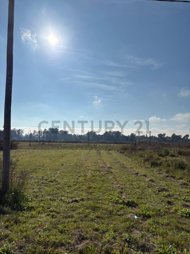 17 y 602 Lote en venta - Altos del Plata — foto 1
