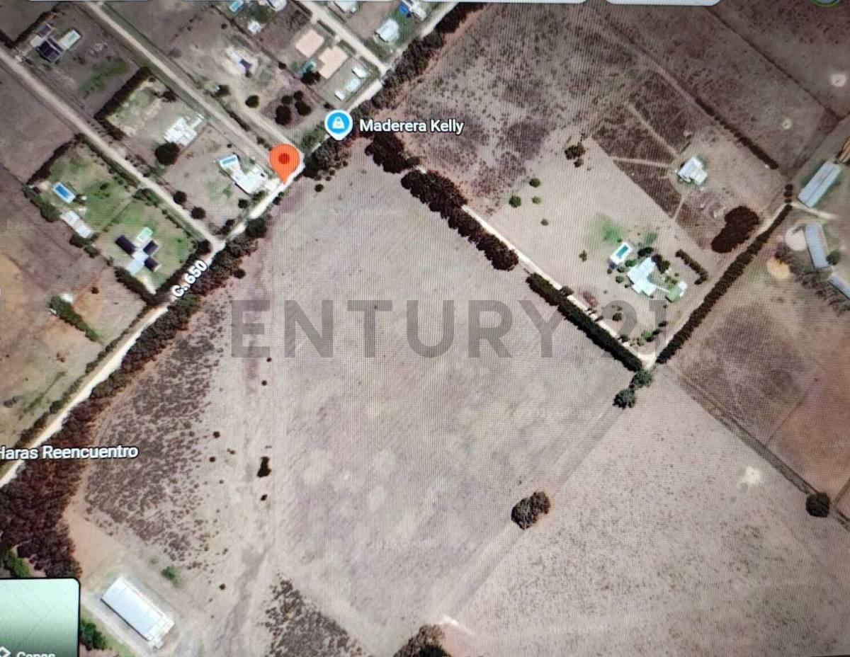 650 y 25. HECTAREAS EN VENTA PARQUE SICARDI — foto 1