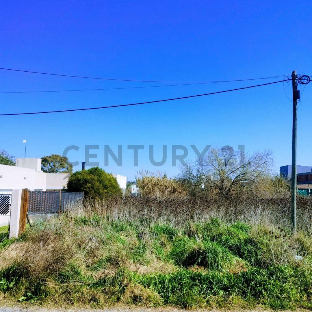 141 entre 36 y 37, Lote en Venta, San Carlos .- — foto 1