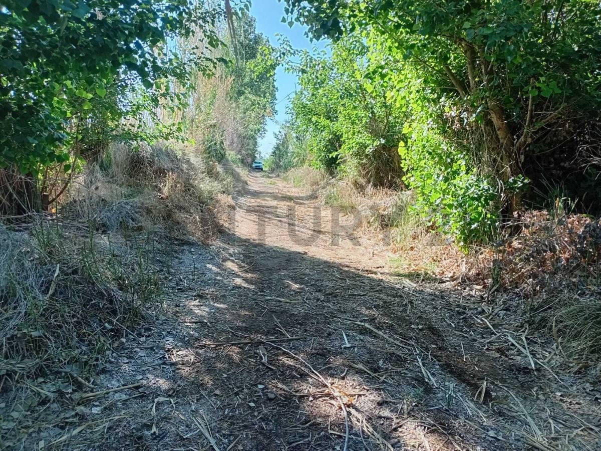 VENDO TERRENO LOS CORRALITOS — foto 1