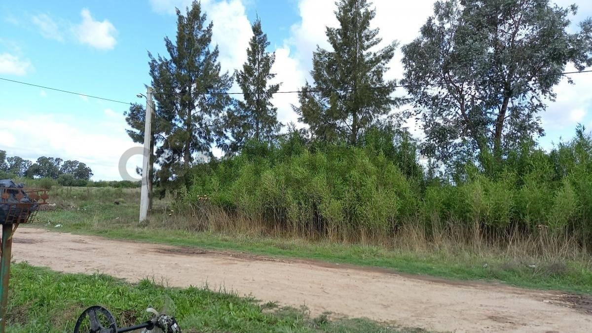 EXCELENTE TERRENO VENTA CORONEL BRANSEN — foto 1