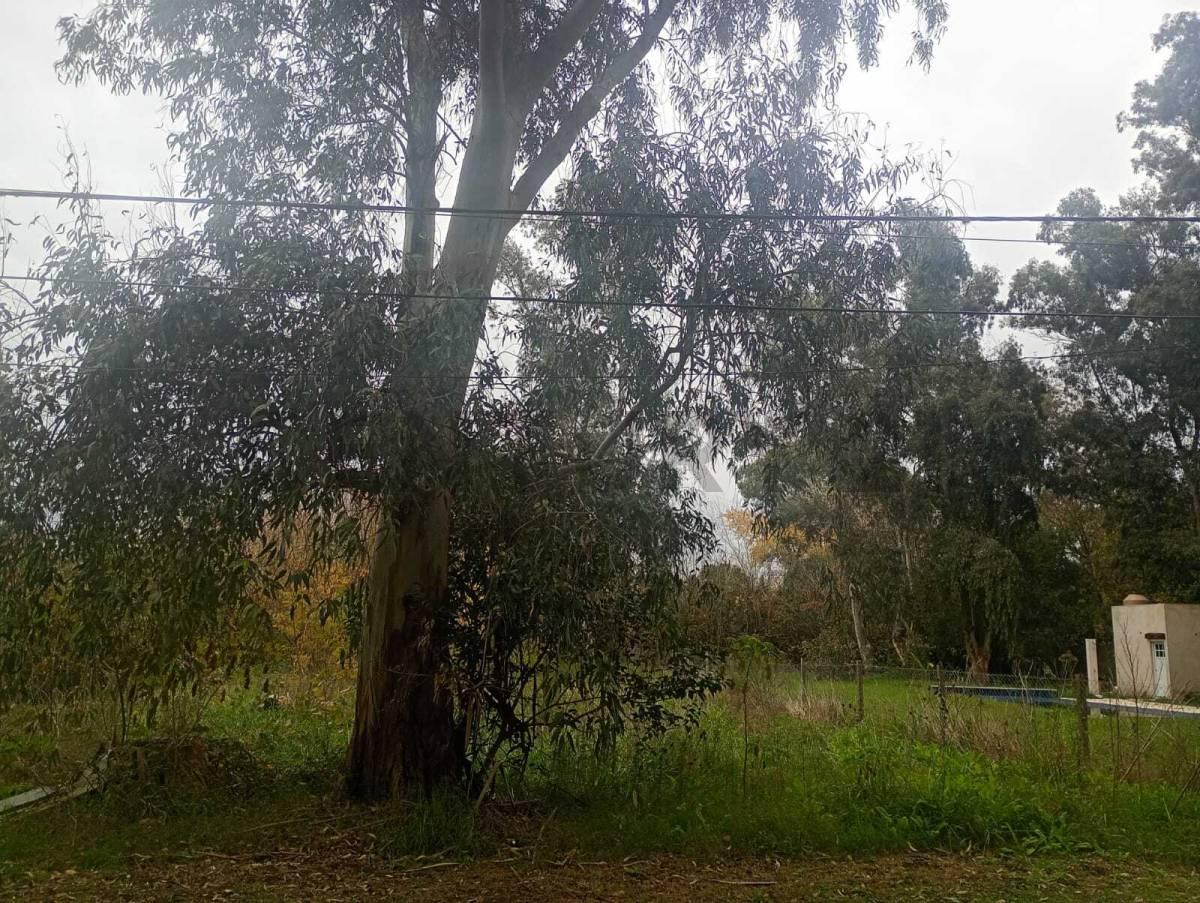 Lote en Venta en el Rodeo Etcheverry — foto 1