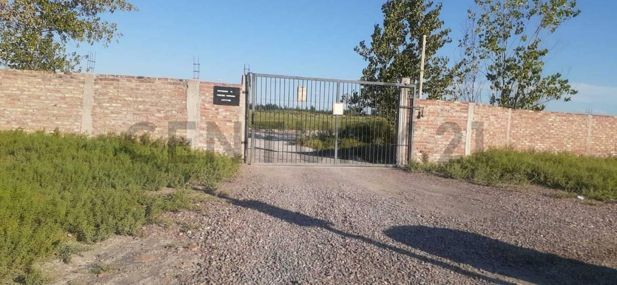 CENTURY 21 LUCIO BARROSO VENDE LOTES — foto 1