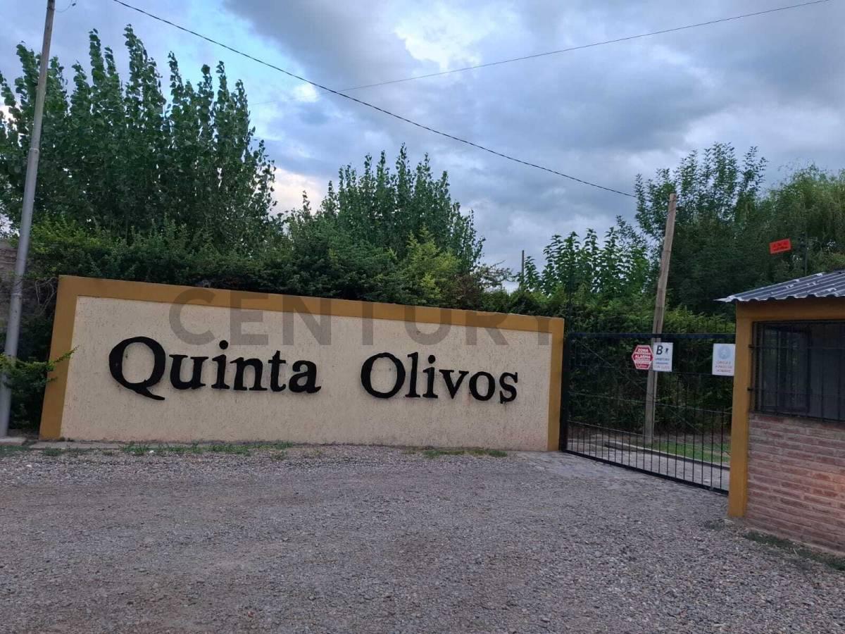 CENTURY 21 LUCIO BARROSO VENDE CASA EN QUINTA OLIVOS — foto 1