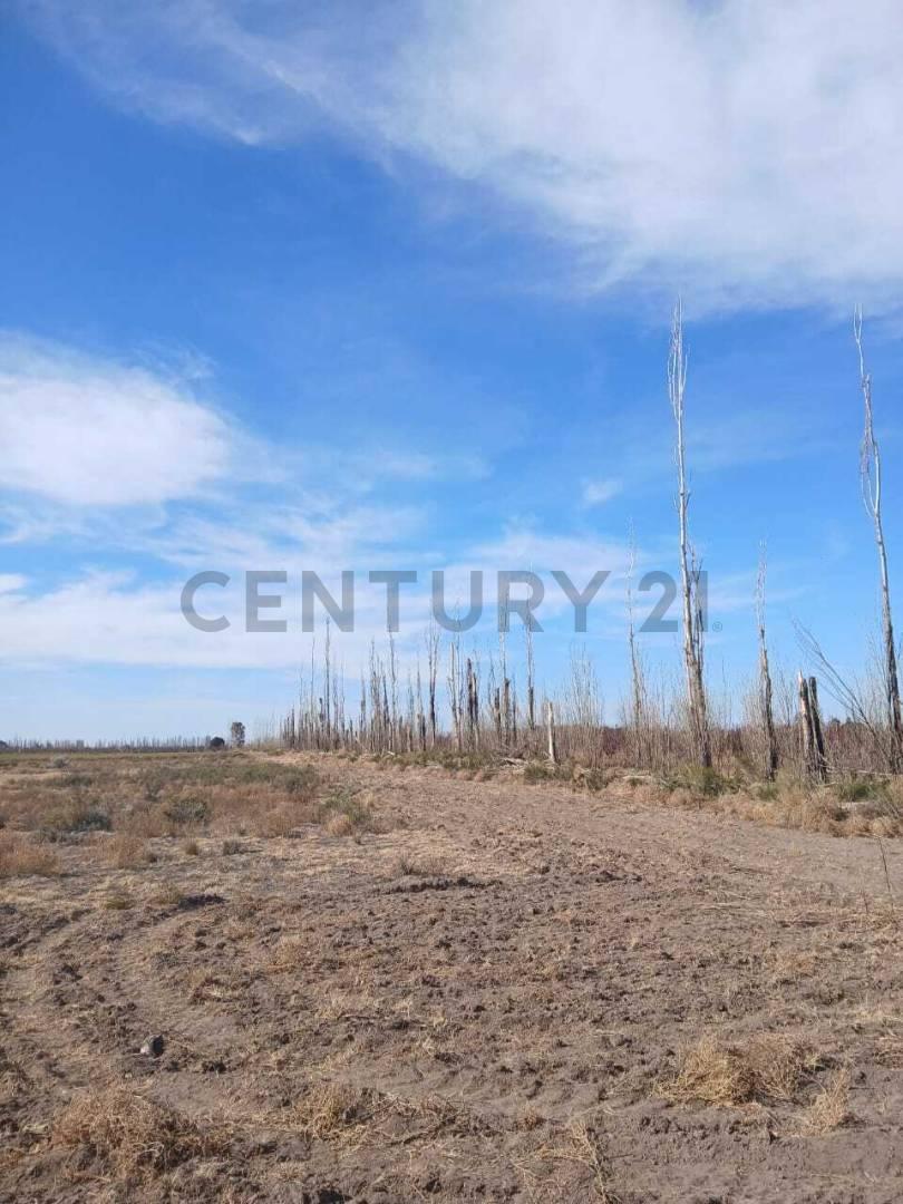 Se vende terreno en San Rafael — foto 1
