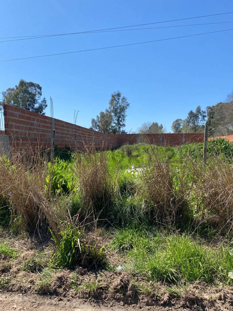 LOTE EN VENTA EN GUERNICA, PRESIDENTE PERON. — foto 1