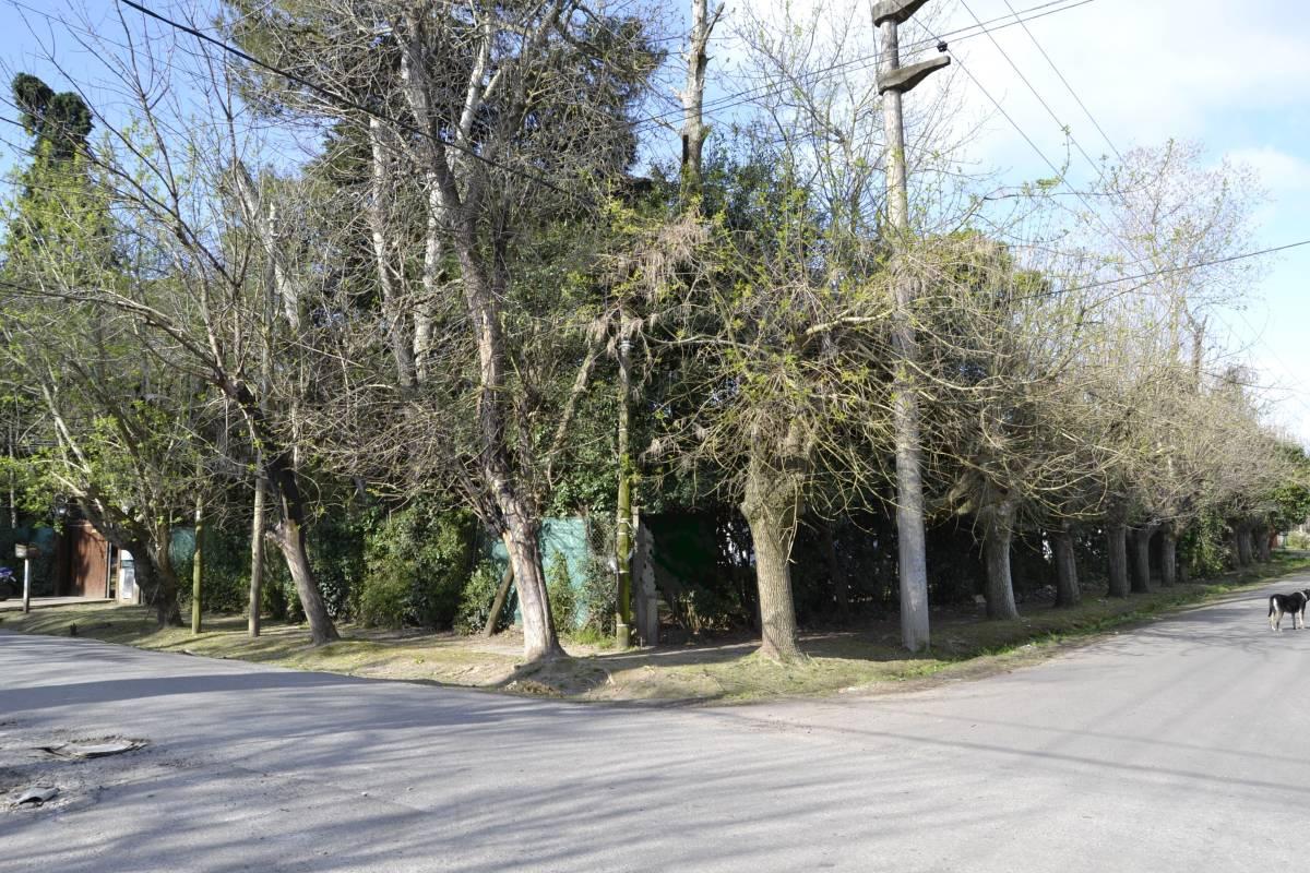 Venta Importante Terreno en 477 y 26 - City Bell — foto 1