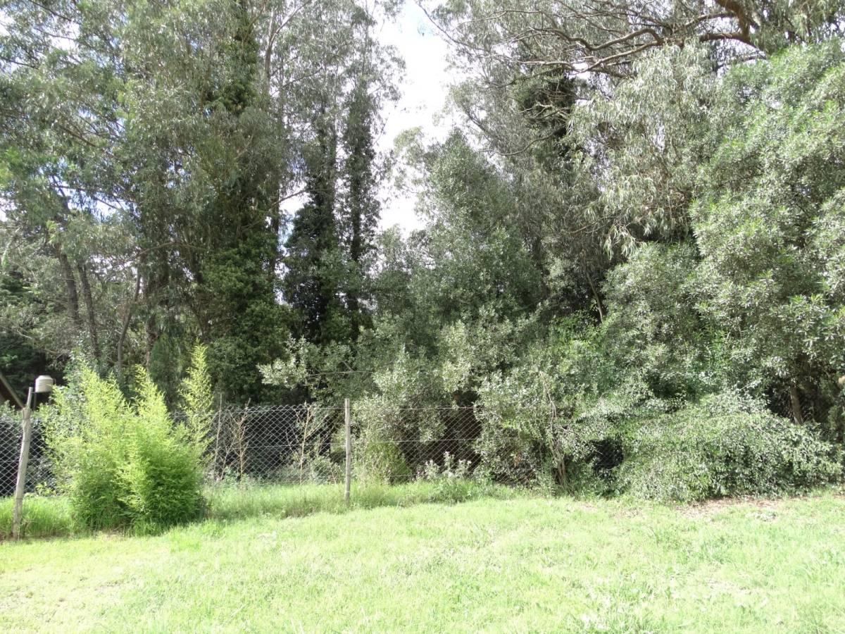 venta lote colina alegre — foto 1