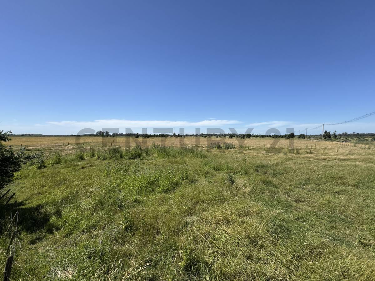 Alquiler Campo 5 hectareas Mar del Plata — foto 1