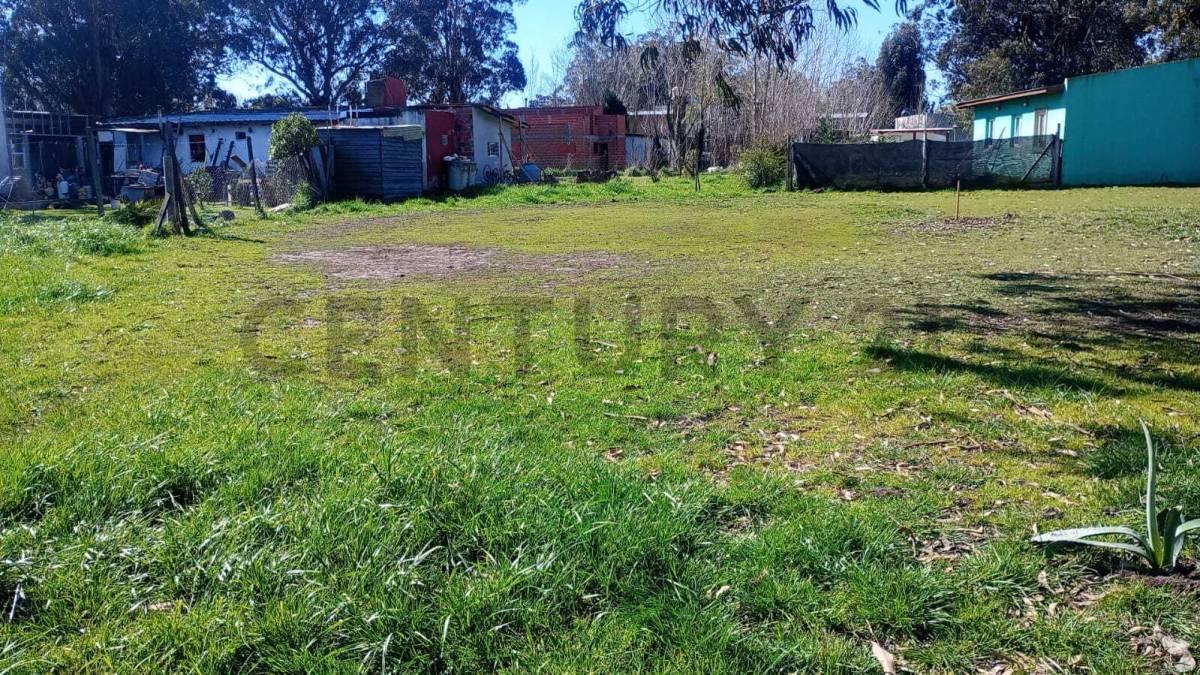 VENTA LOTE CAMET NORTE — foto 1