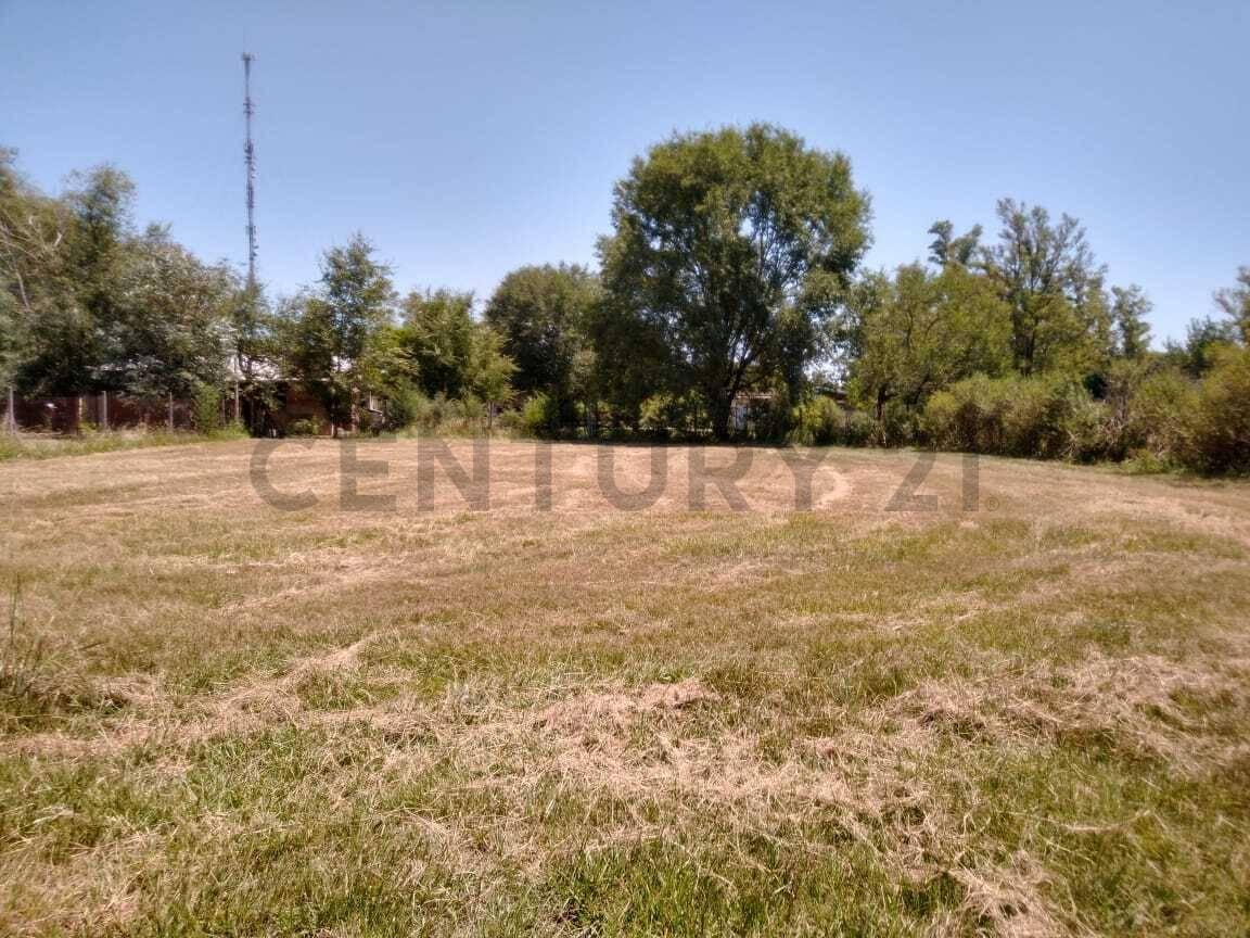 OPORTUNIDAD INVERSION TERRENOS EN OLIVEROS — foto 1