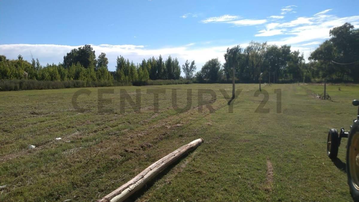 LOTE EN VENTA EN SAN CARLOS — foto 1