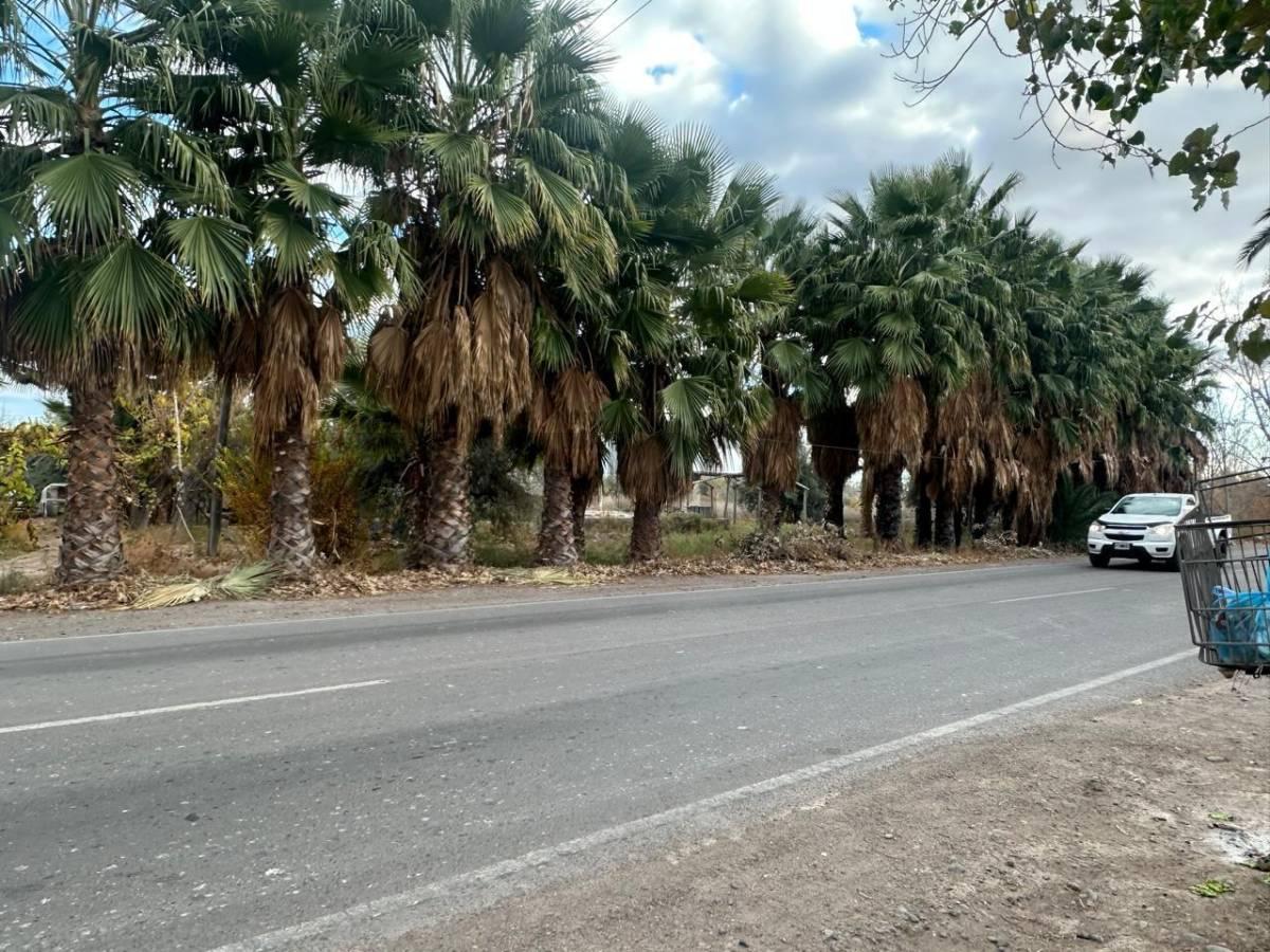 VENTA DE FINCA EN RODEO DEL MEDIO — foto 1
