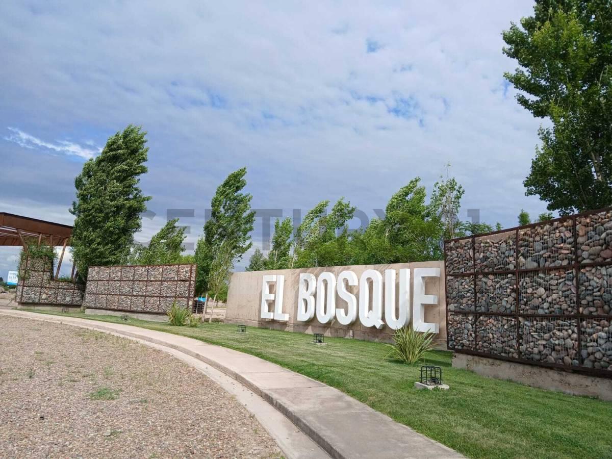 Lote en Venta, Maipú — foto 1