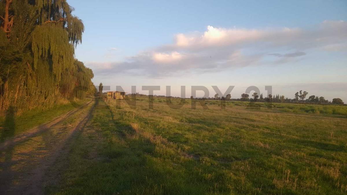 LOTE EN VENTA EN CALLE CORNELIO SAAVEDRA - GOUDGE - SAN RAFAEL — foto 1