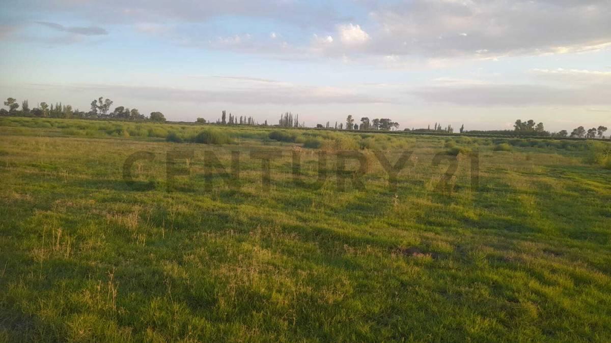 LOTE EN VENTA EN CALLE CORNELIO SAAVEDRA - GOUDGE - SAN RAFAEL — foto 1
