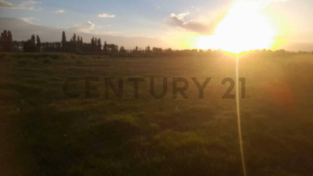 LOTE EN VENTA EN CALLE CORNELIO SAAVEDRA - GOUDGE - SAN RAFAEL — foto 1