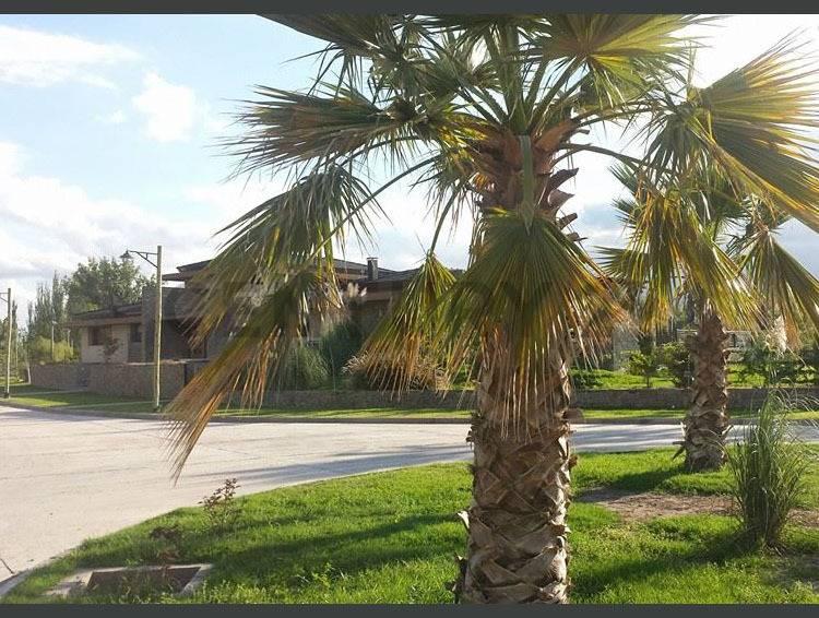 Venta Lote Barrio Nautilius — foto 1