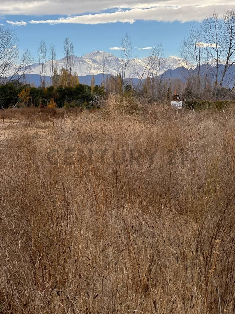 Lote de 1.000 m² en Vistalba, Luján de Cuyo — foto 1