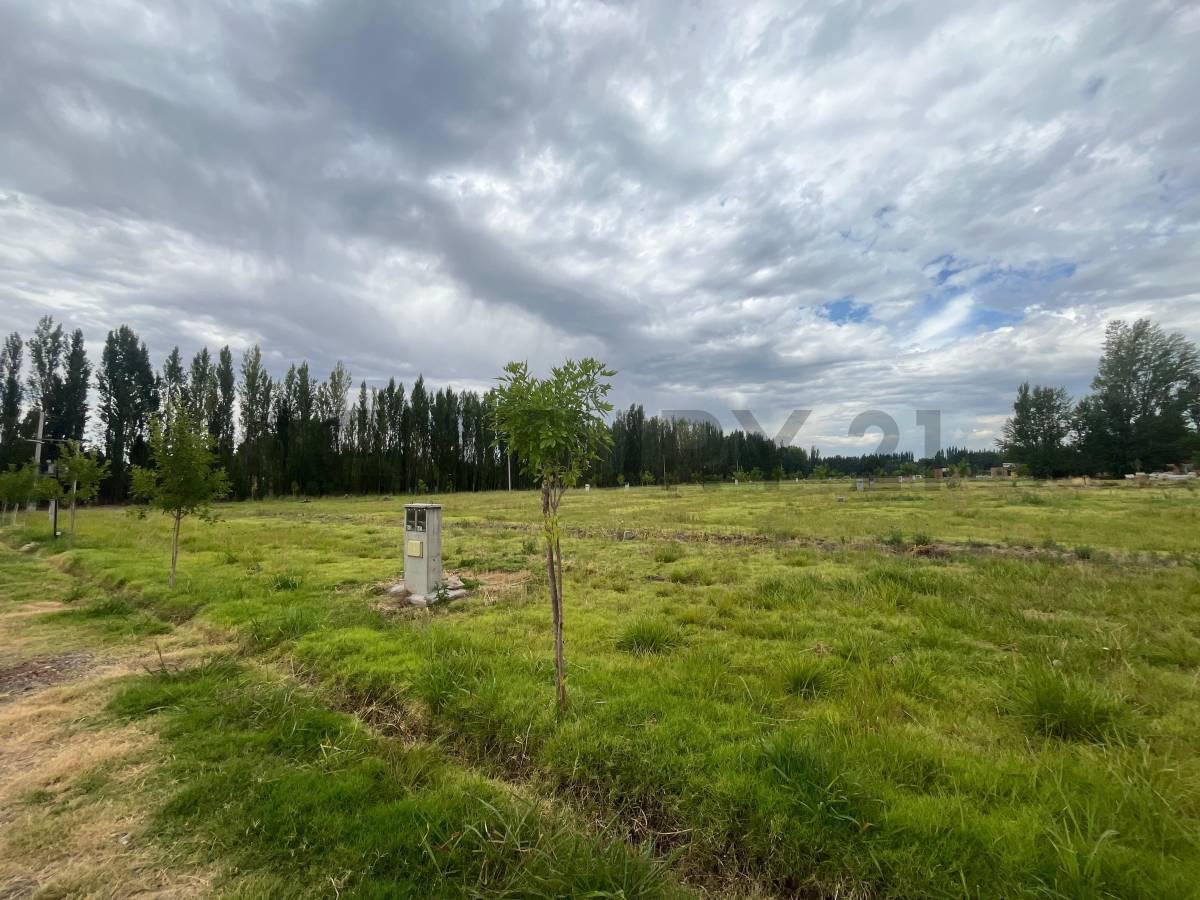 Terreno en B° Privado la Toscana - Gral.Roca — foto 1