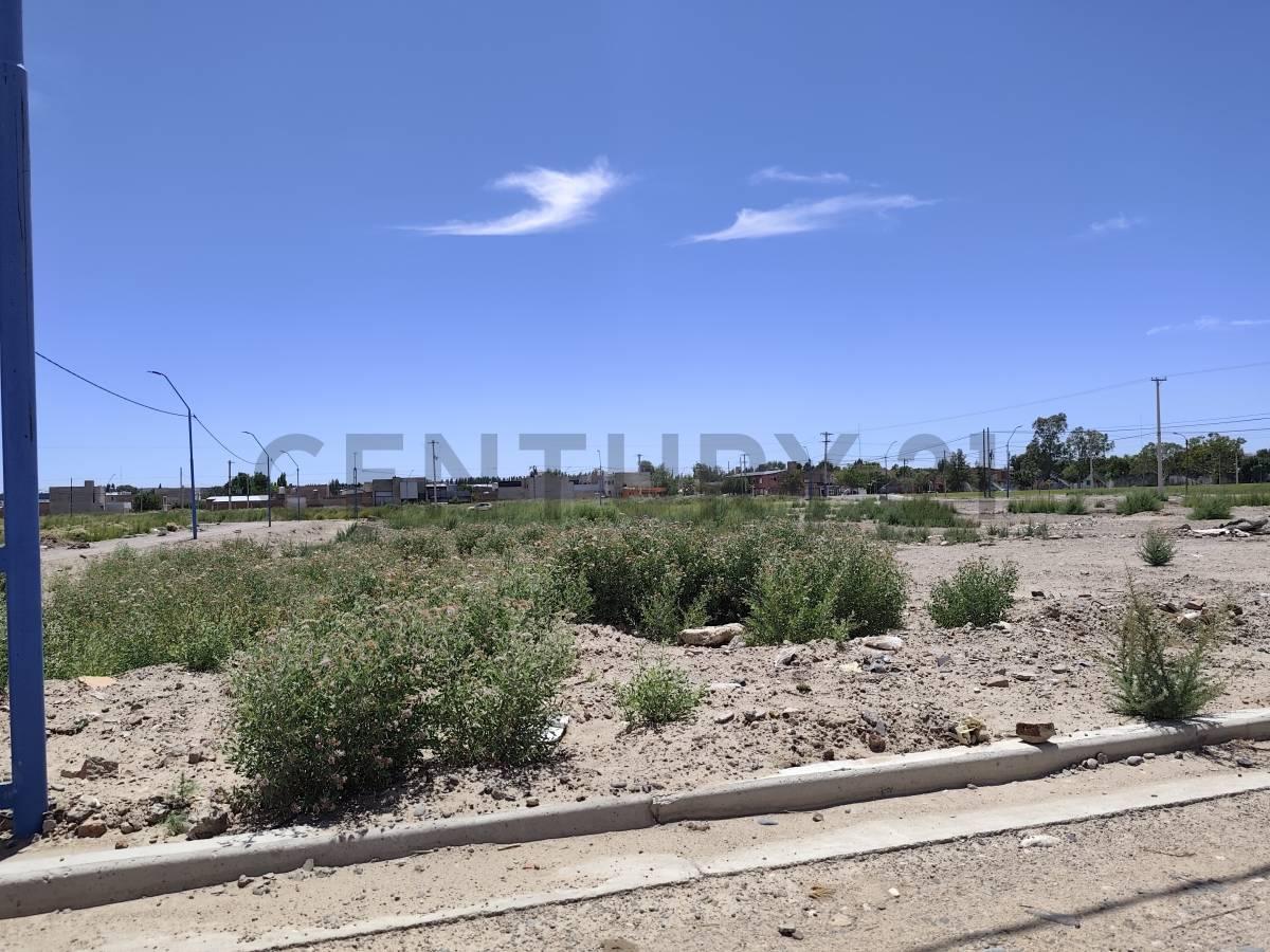 Venta de Terrenos comerciales sobre calle Damas Patricias , General Roca — foto 1