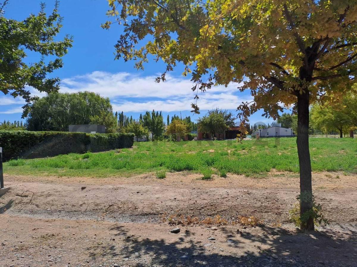 Venta de terreno en Barrio Privado Chacras del Sur - General.Roca — foto 1