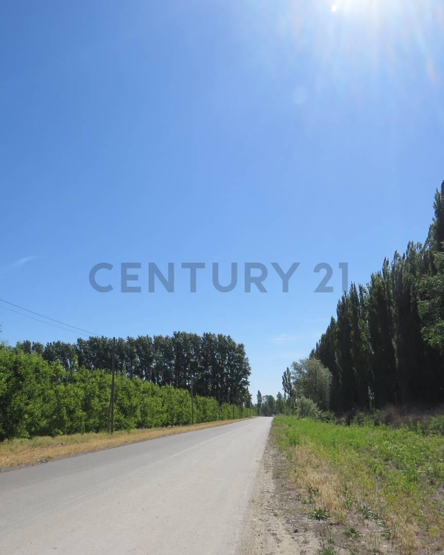 Terreno de 473m2 en Cervantes loteo Rufina — foto 1