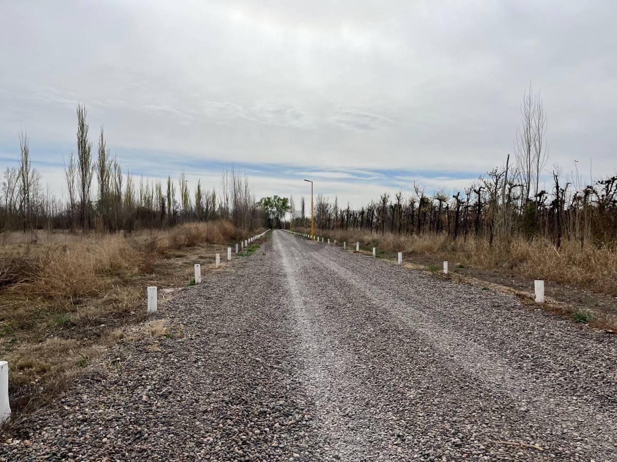 Terreno en Barrio "La Rufina" Cervantes — foto 1