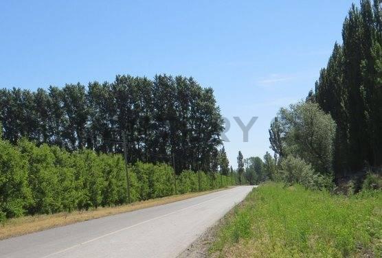 Terreno en Venta Rufina Cervantes — foto 1