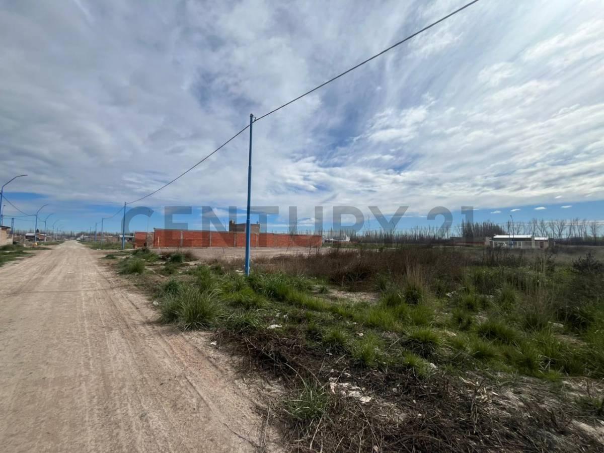 TERRENO EN EL LOTEO LA MARTINA II — foto 1