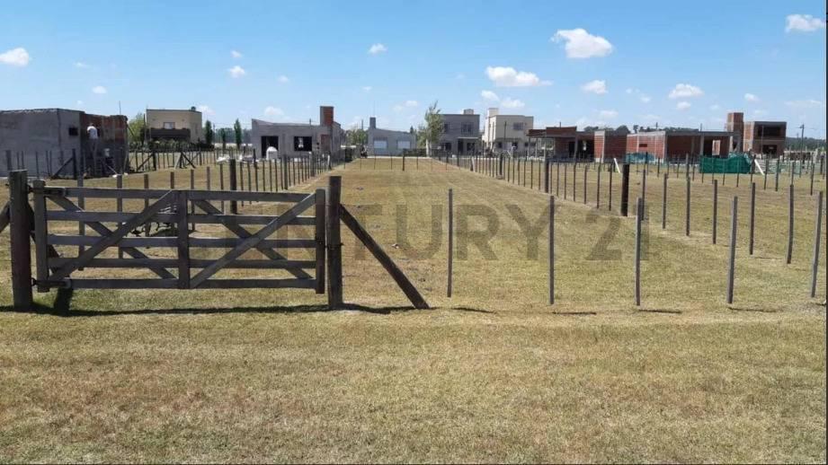 Lote en venta en Domselaar Chico — foto 1