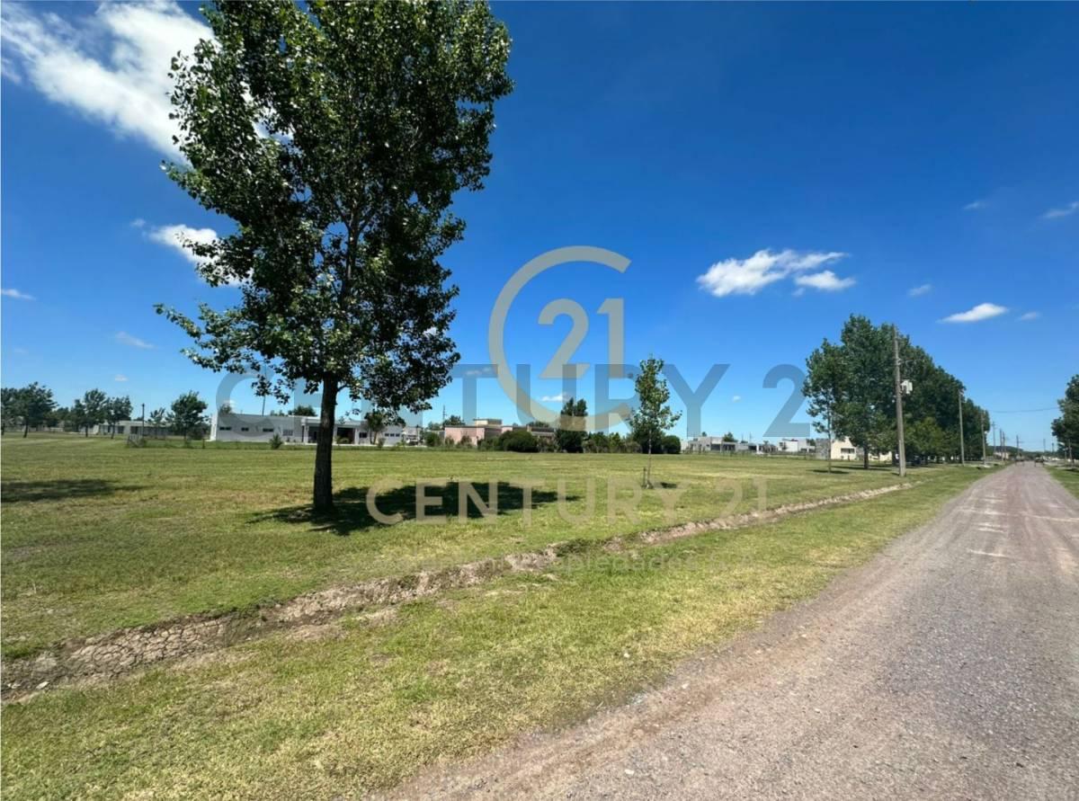 Lote en venta — foto 1
