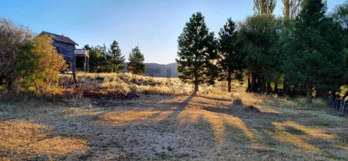 Campo en venta — foto 1