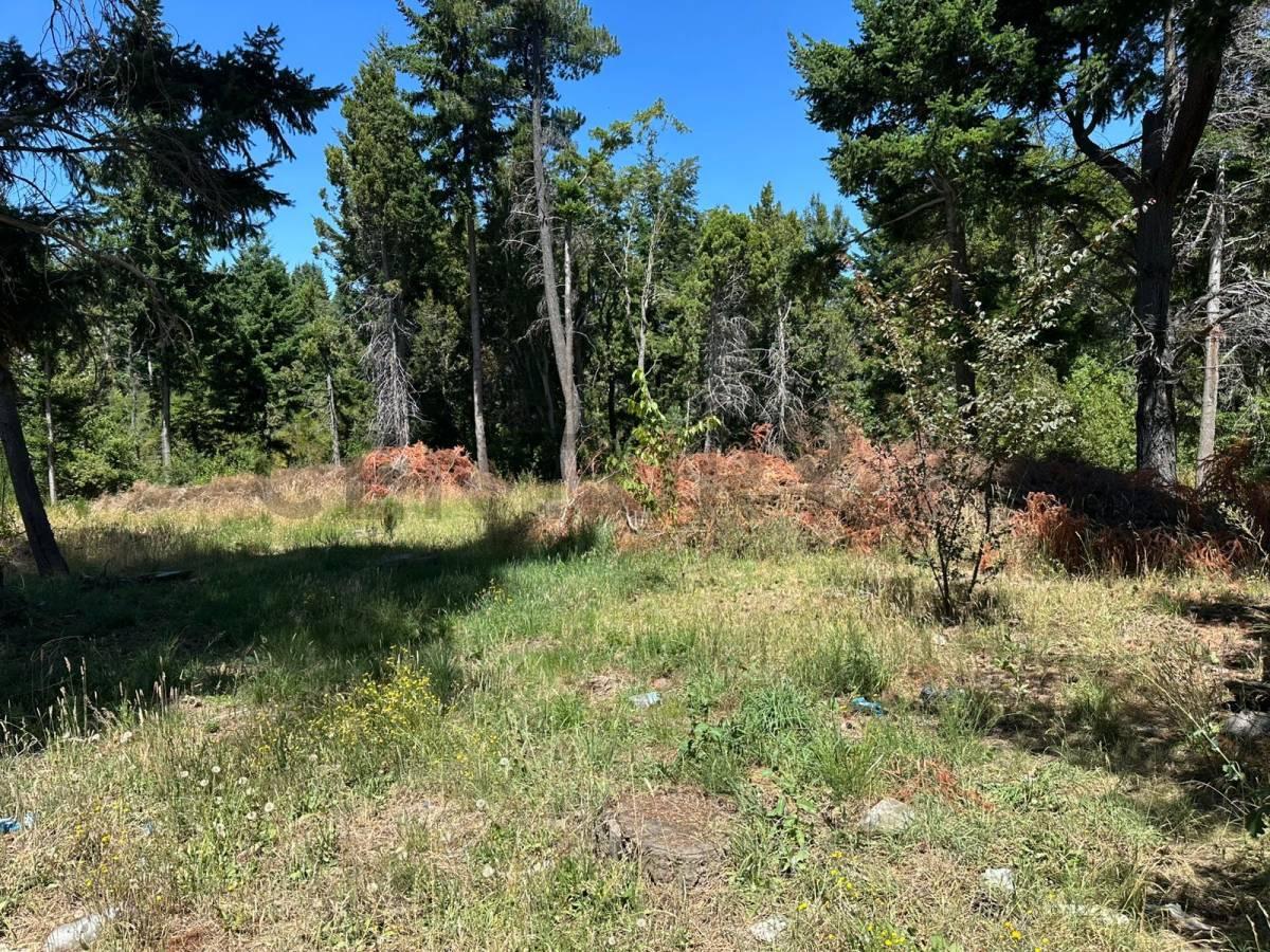 Lote en Venta Bariloche — foto 1