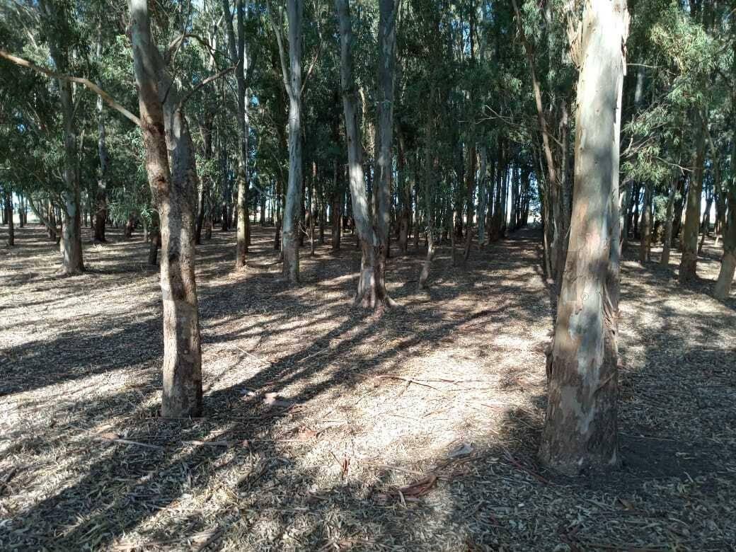 VENTA DE CAMPO, BERISSO — foto 1