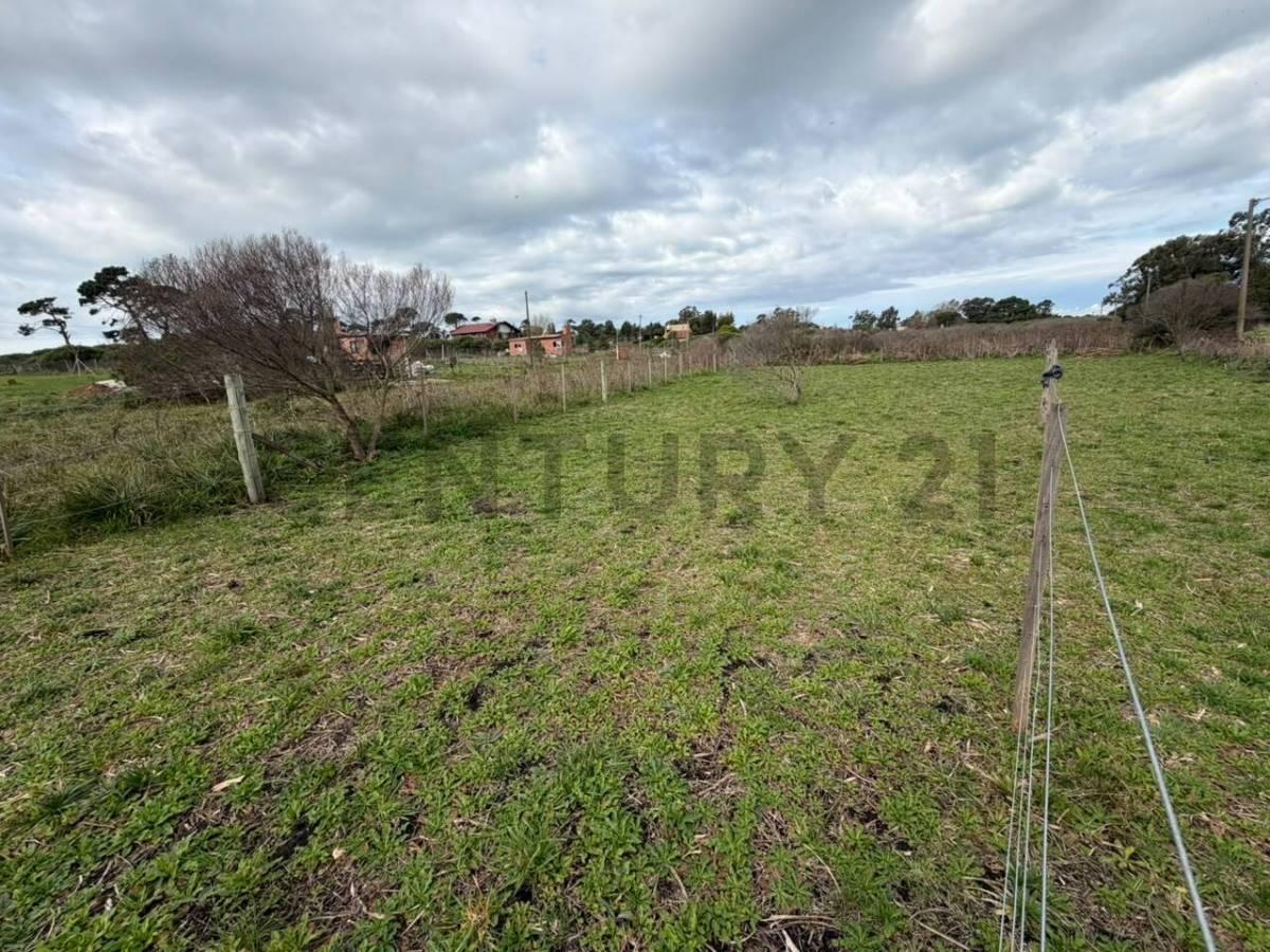 Terreno en Esquina | San Eduardo de Chapadmalal | Mar del Plata — foto 1
