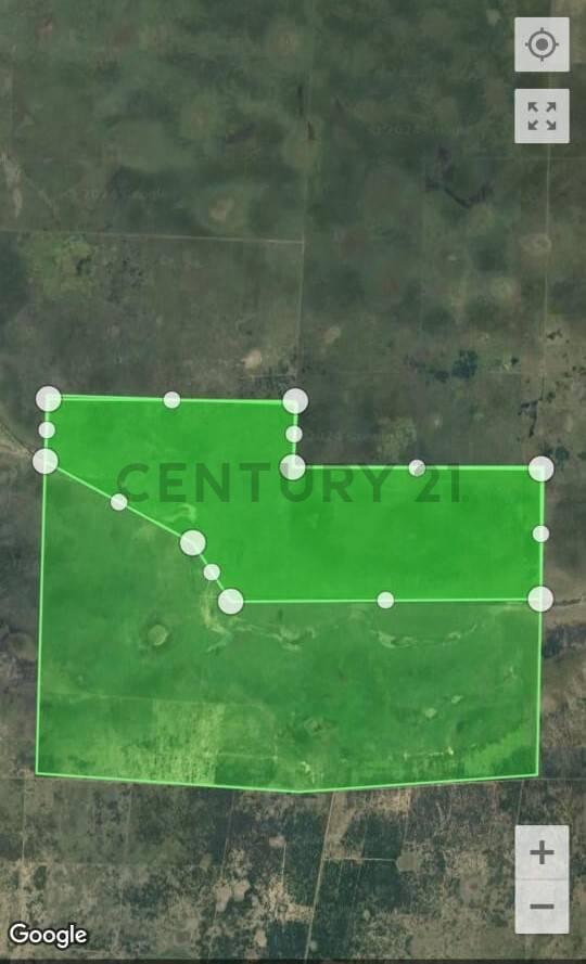 VENTA CAMPO 4750 HAS A 50 KM DE SAN CRISTÓBAL — foto 1