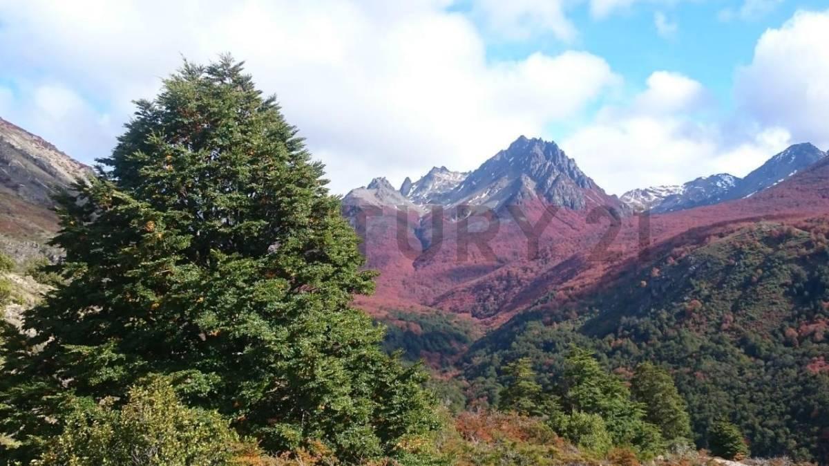 CAMPO - HUT DE INVERSION MULTIPROPOSITO EN CONCORVADO (CHUBUT) — foto 1