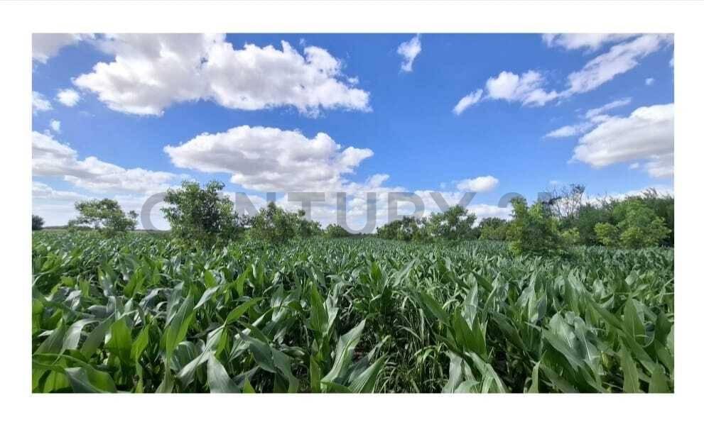 Campo agrícola de 5 hectáreas en venta – Esperanza, Santa Fe — foto 1