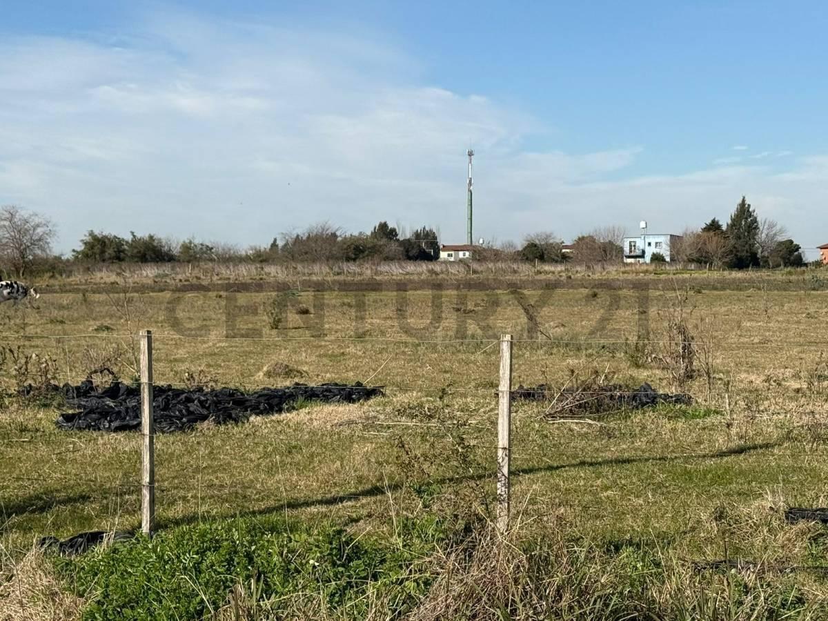 campo de 5 hectáreas y medias — foto 1