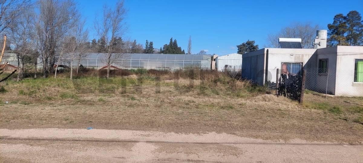 2 TERRENOS EN VENTA | LAS HIGUERAS – RÍO CUART — foto 1