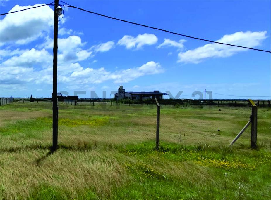 LOTES EN VENTA EN LA HERMOSURA — foto 1