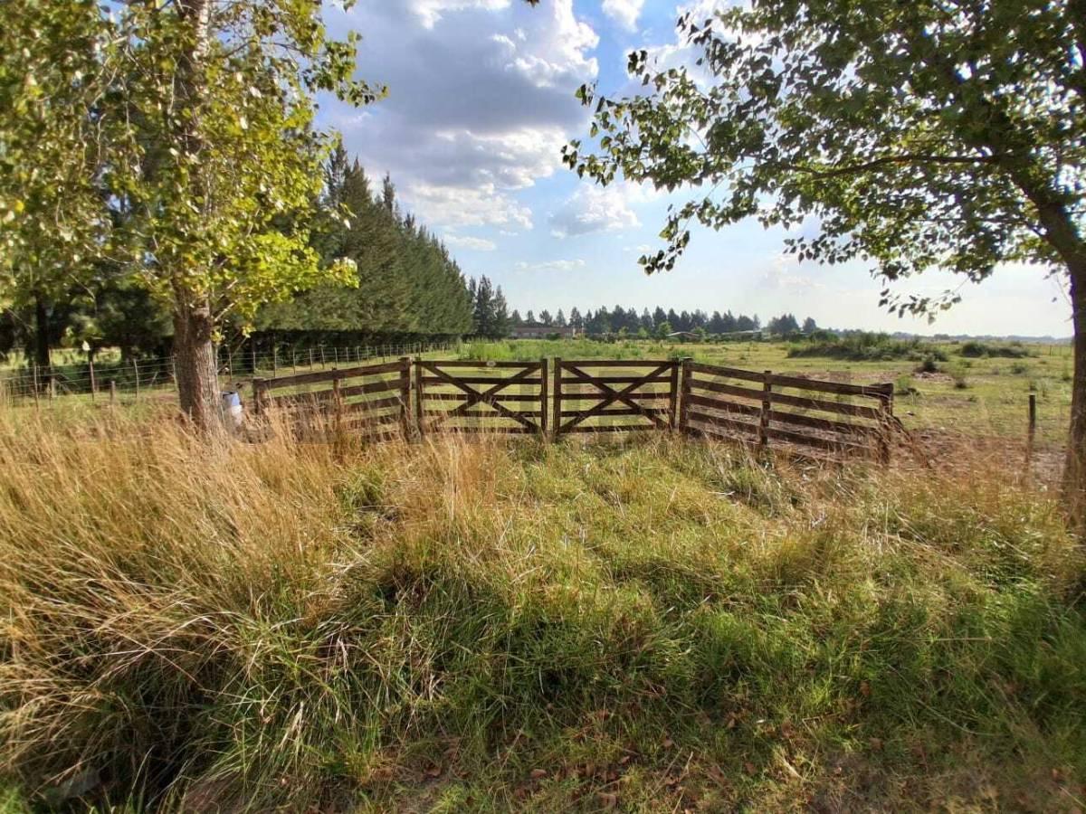 Terreno venta Brandsen Estancia las Malvinas 1 — foto 1