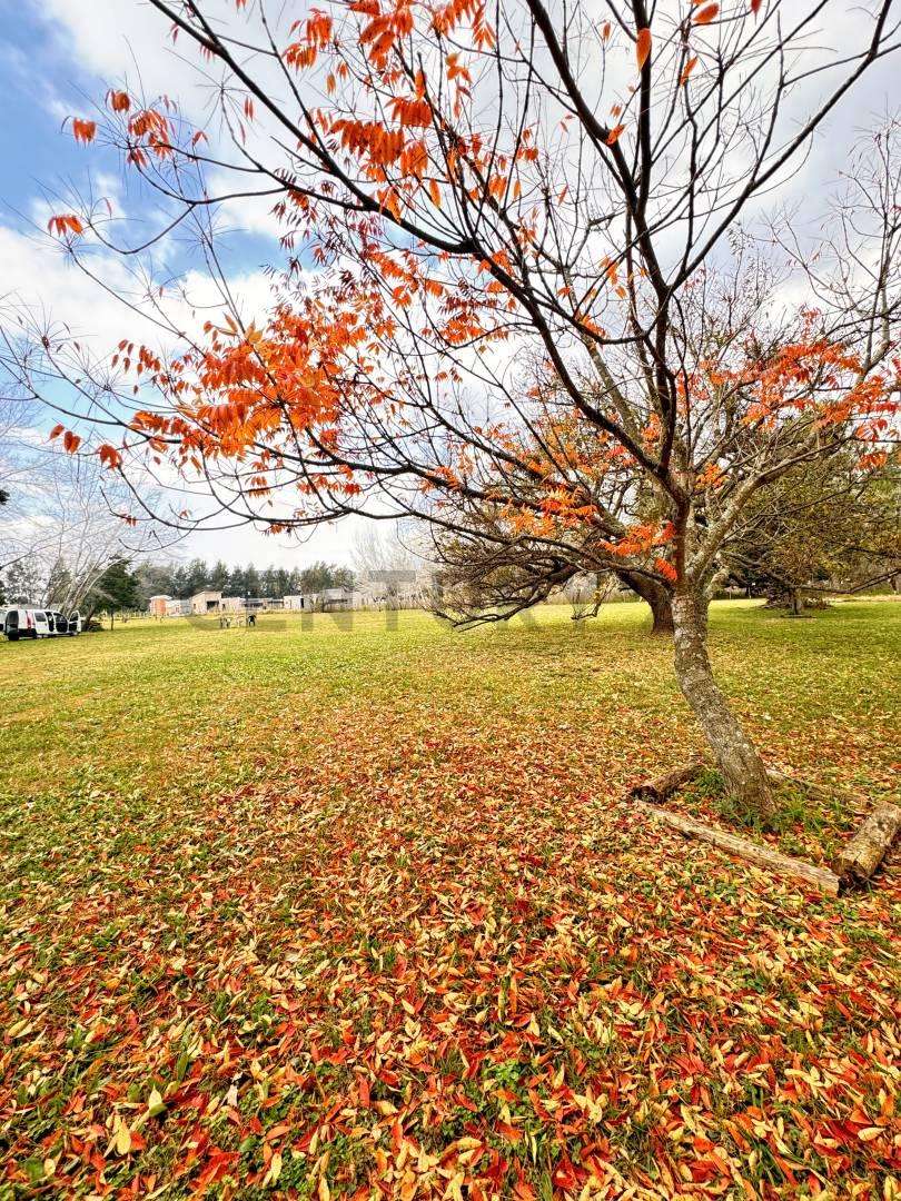 LOTE EN VENTA BRANDSEN ESTANCIA LAS MALVINAS — foto 1