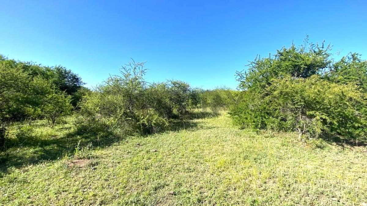 Campito a la venta en VERTIENTES DE LA GRANJA — foto 1