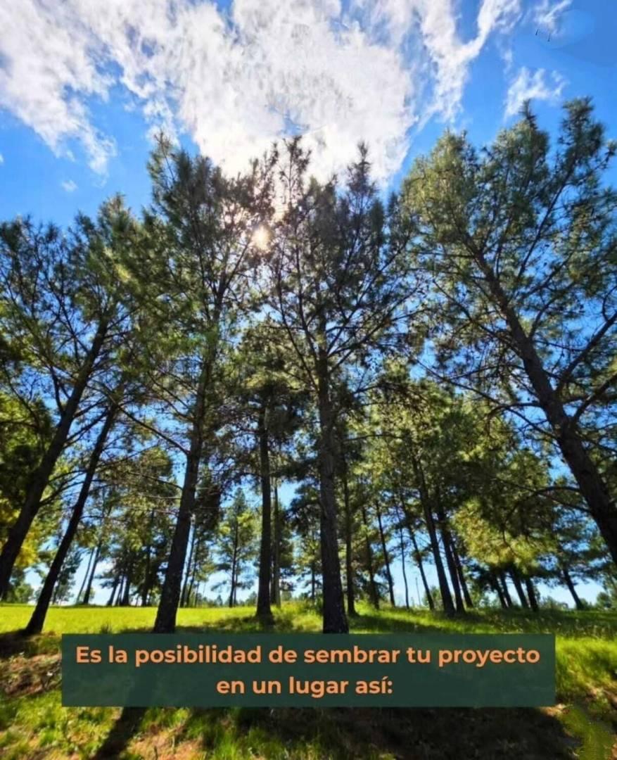 Lote en barrio privado de montaña — Villa Yacanto, Valle de Calamuchita — foto 1