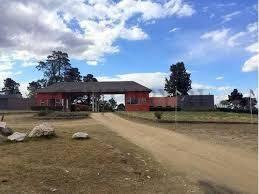 — foto 1