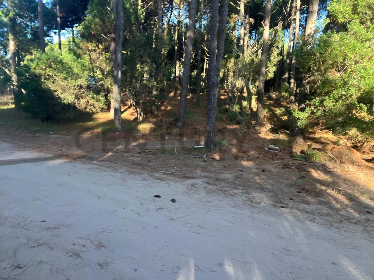 Terreno en Venta en Pinamar Barrio Aromos I Lote 27 — foto 1