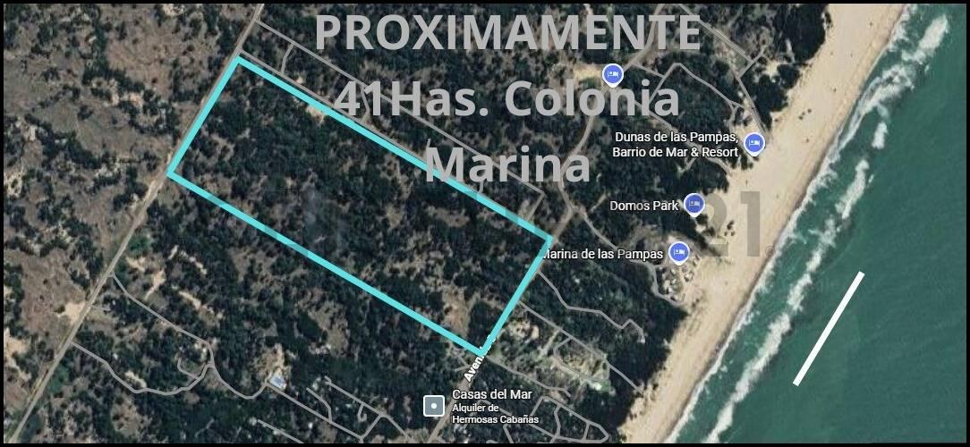 Lotes Multifamiliares en Colonia Marina — foto 1