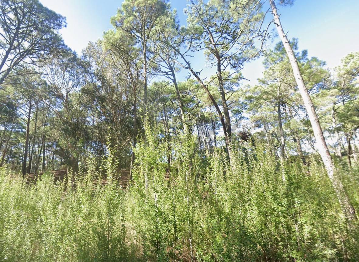 VENTA LOTE TERRENO CARILO PINAMAR OPORTUNIDAD PERMUTA FINANCIAMIENTO — foto 1